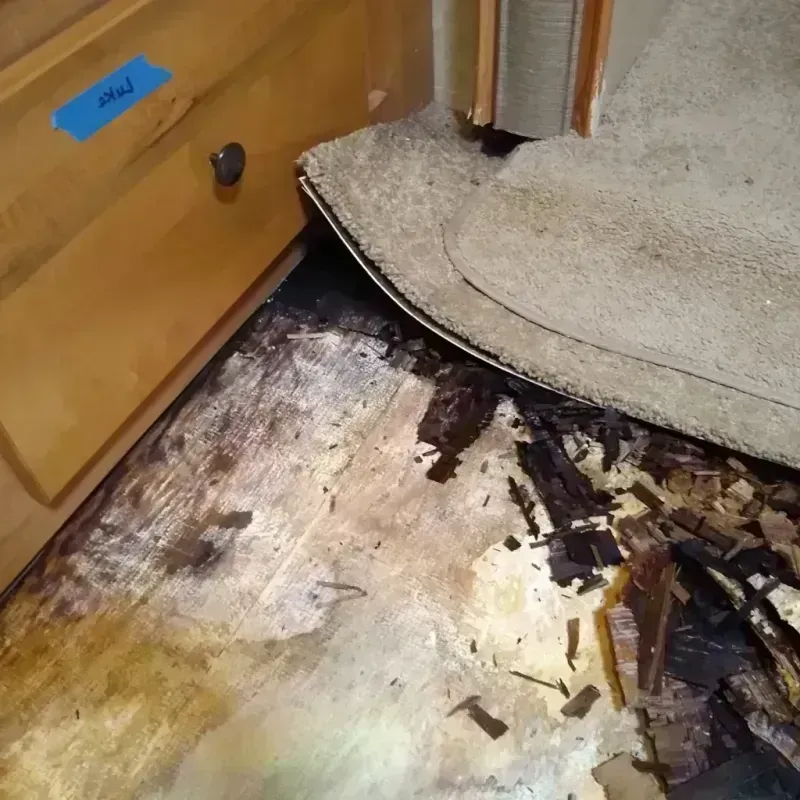 Best Wood Floor Water Damage Service in Midvale, UT